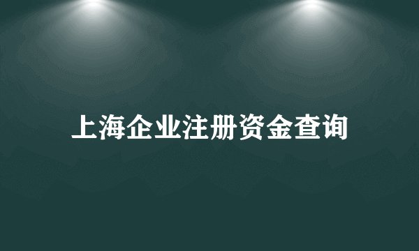 上海企业注册资金查询