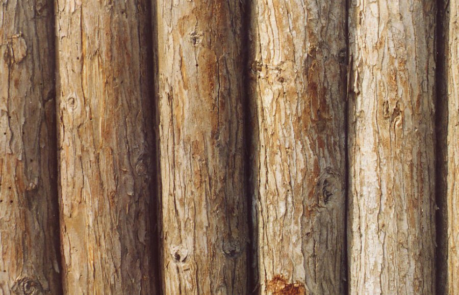 原木和实木到底有什么区别