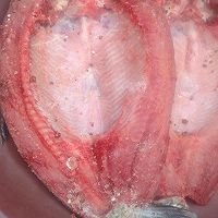 冬天怎样腌腊鱼？