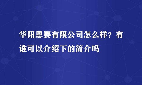 华阳恩赛有限公司怎么样？有谁可以介绍下的简介吗