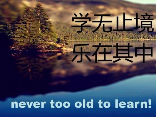 too...to 是什么意思