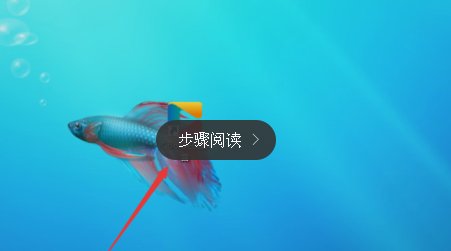 怎么在网上收看辽宁卫视体育频道