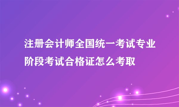 注册会计师全国统一考试专业阶段考试合格证怎么考取