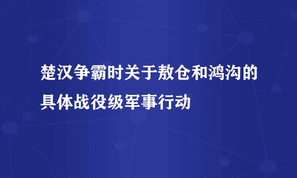 楚汉争霸时关于敖仓和鸿沟的具体战役级军事行动