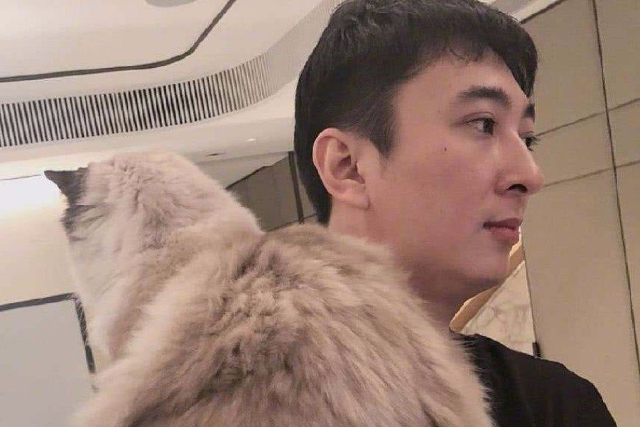 作为王思聪的背景，王健林的失势对王思聪事业的打击有多大？