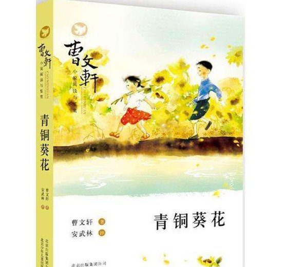 青铜葵花 第六章 主要内容（不多于10字