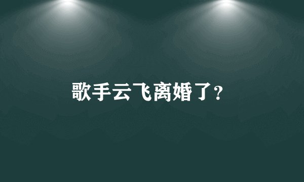 歌手云飞离婚了？