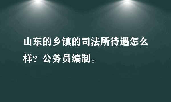山东的乡镇的司法所待遇怎么样？公务员编制。