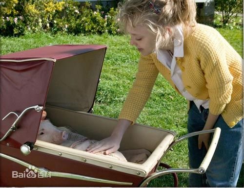 夏洛特的网完整版mp4