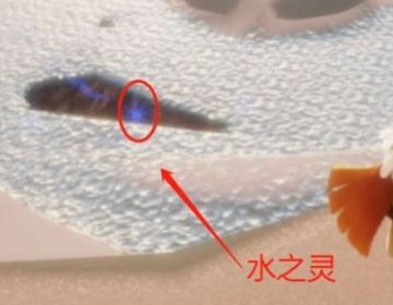 光遇水之灵在哪？