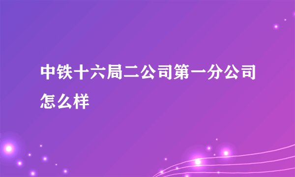 中铁十六局二公司第一分公司怎么样