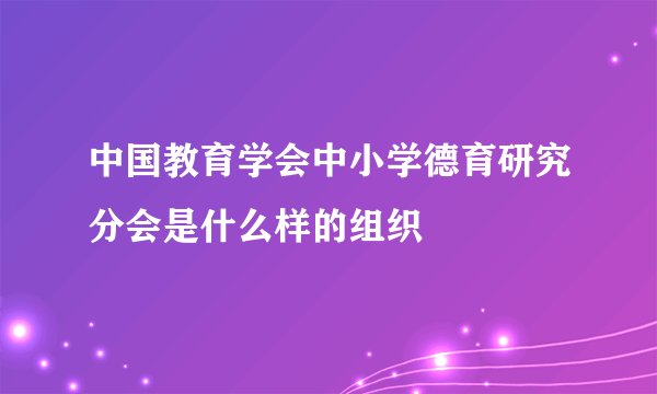 中国教育学会中小学德育研究分会是什么样的组织