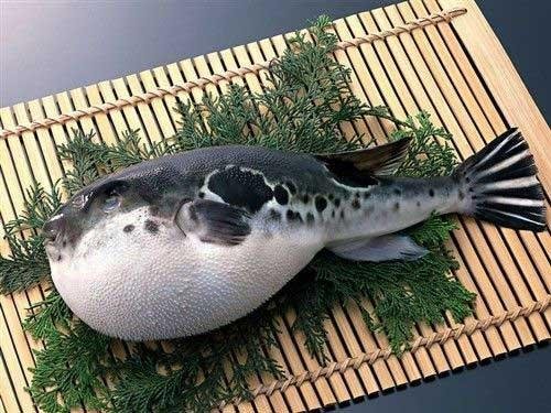 镇江有什么特产吗？