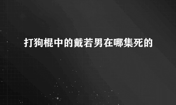打狗棍中的戴若男在哪集死的