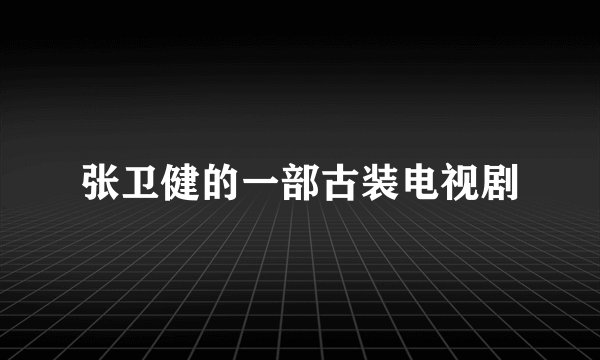 张卫健的一部古装电视剧