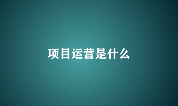 项目运营是什么