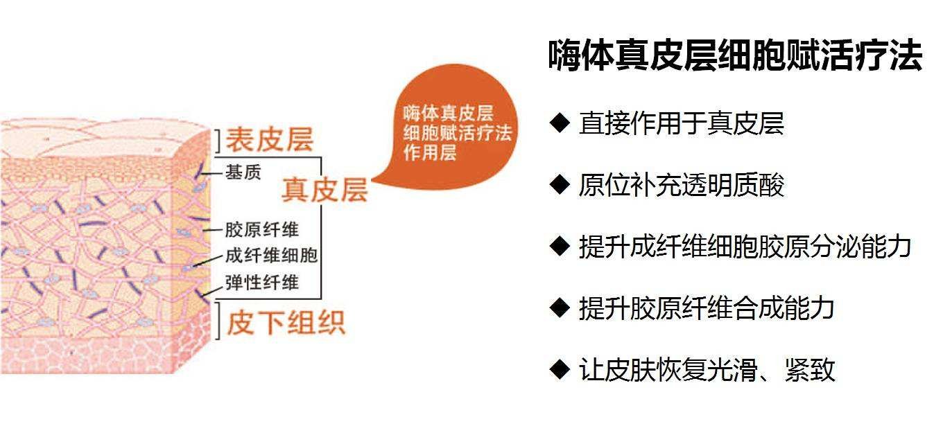 嗨体有哪些作用？