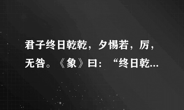君子终日乾乾，夕惕若，厉，无咎。《象》曰：“终日乾乾，反复道也。”是什么意思啊？