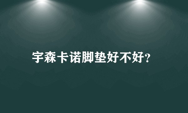 宇森卡诺脚垫好不好？