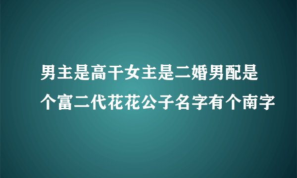 男主是高干女主是二婚男配是个富二代花花公子名字有个南字