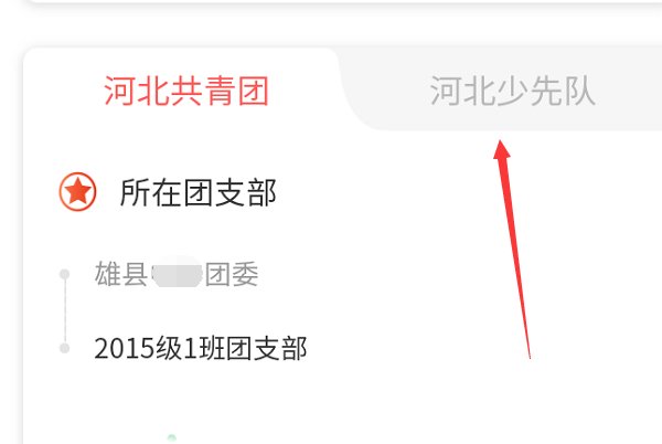 河北共青团注册了,但是又注册了少先队员,少先队员信息如何删除？