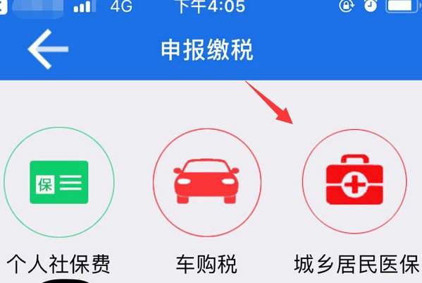 怎样在税务总局湖北税务手机App交城乡居民医保