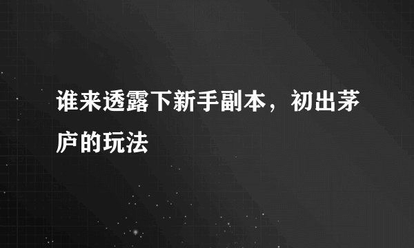 谁来透露下新手副本，初出茅庐的玩法