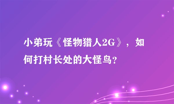 小弟玩《怪物猎人2G》，如何打村长处的大怪鸟？