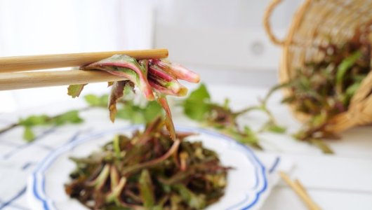 曲曲菜几种吃法