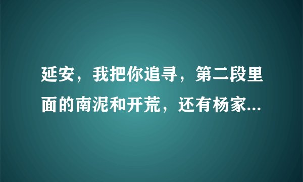 延安，我把你追寻，第二段里面的南泥和开荒，还有杨家岭讲话是什么意思？