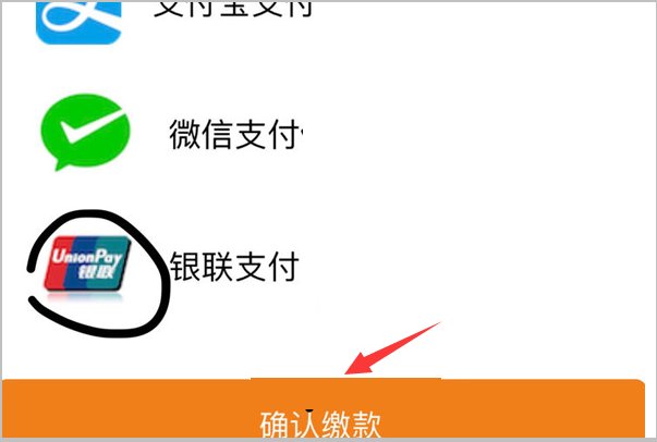 怎样在税务总局湖北税务手机App交城乡居民医保