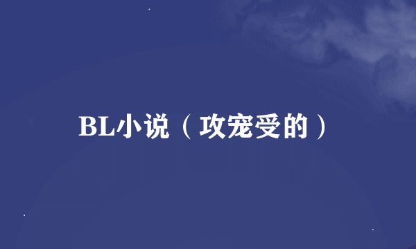 BL小说（攻宠受的）