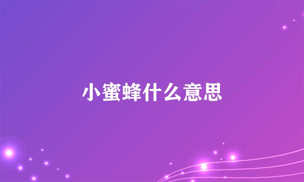 小蜜蜂什么意思