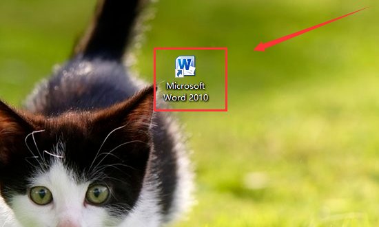 word2010如何将文字设置成红色,强调文字颜色2,淡色40%