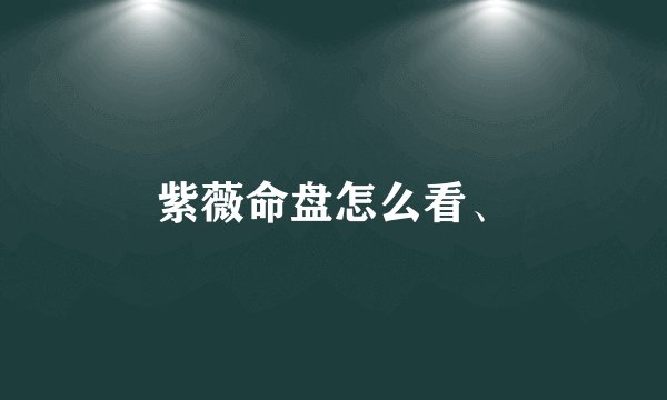 紫薇命盘怎么看、