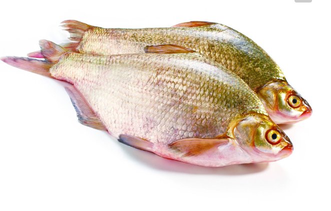 钓鳊鱼是钓底还是钓浮还是钓半水？