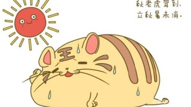 2021年什么时候立秋？立秋后天气怎样？