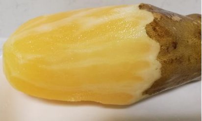 雪莲果是那的特产，什么季节吃最好呀