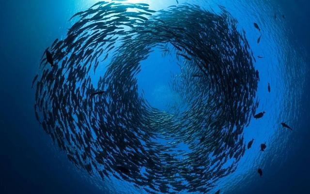 马里亚纳海沟到底有多深？水是液态、还是固态，为什么？