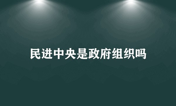 民进中央是政府组织吗