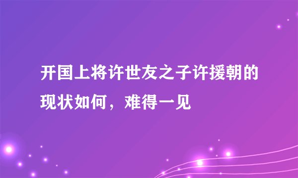 开国上将许世友之子许援朝的现状如何，难得一见