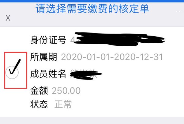 怎样在税务总局湖北税务手机App交城乡居民医保