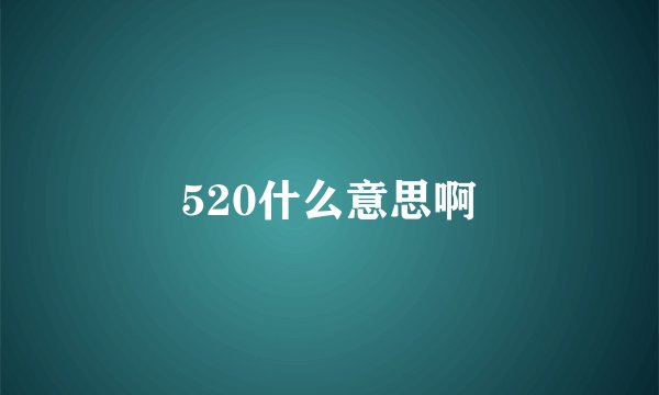 520什么意思啊