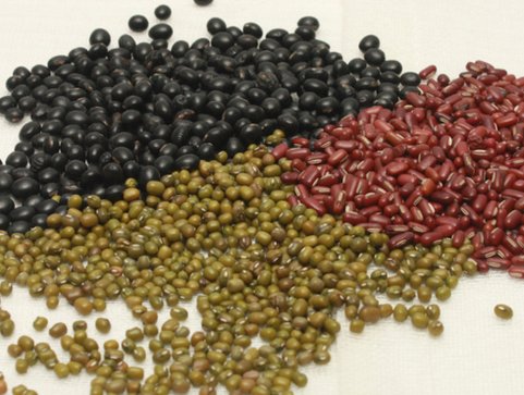 去湿气重吃什么好方法