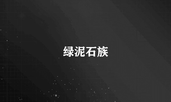 绿泥石族