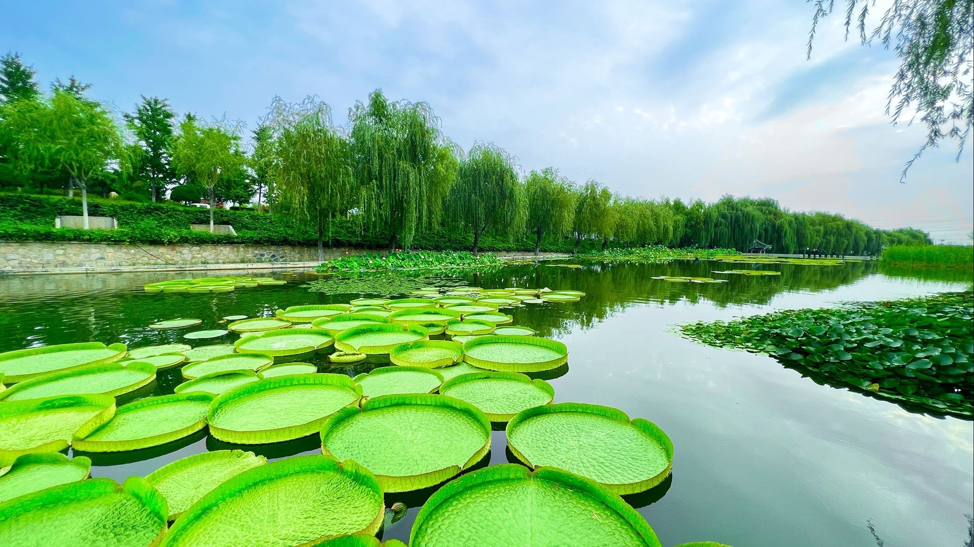 在驾校学车通过科目一后，我的壹学车登录时出现该学员未备案，怎么办？