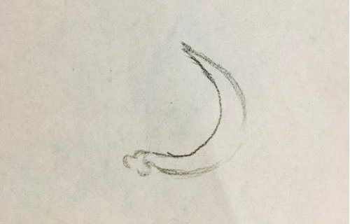 党旗镰刀锤子怎么画