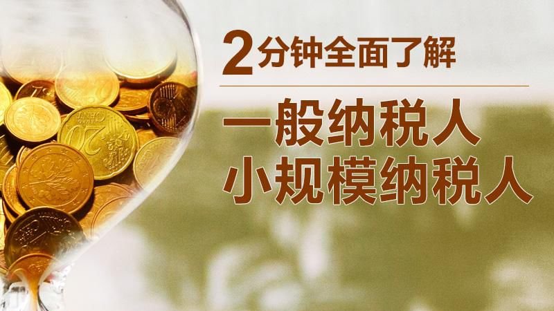 一般纳税人和小额纳税人的区别