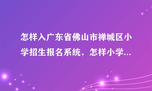 怎样入广东省佛山市禅城区小学招生报名系统，怎样小学新生网上报名