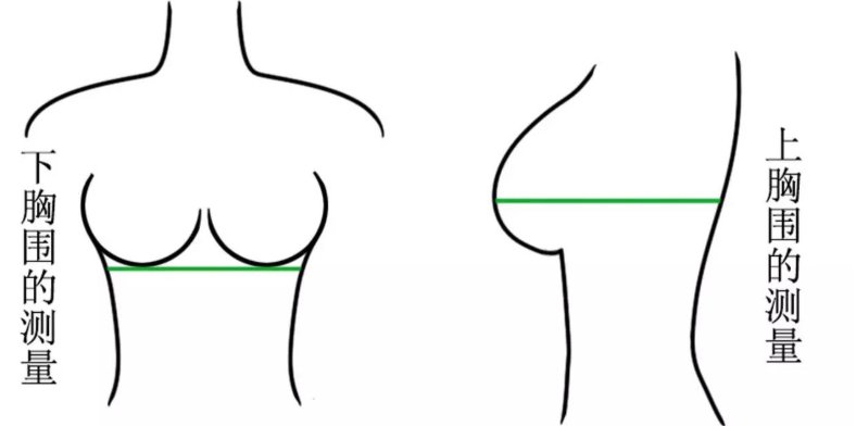 胸围92cm是多大？